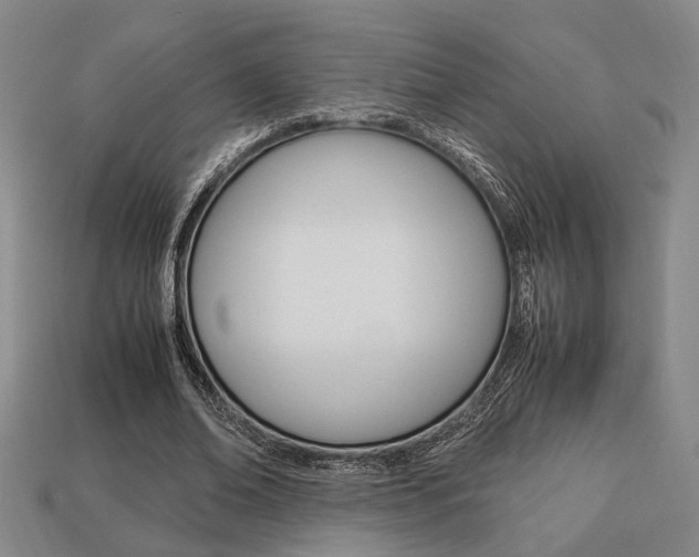 X0000113780678200909231041