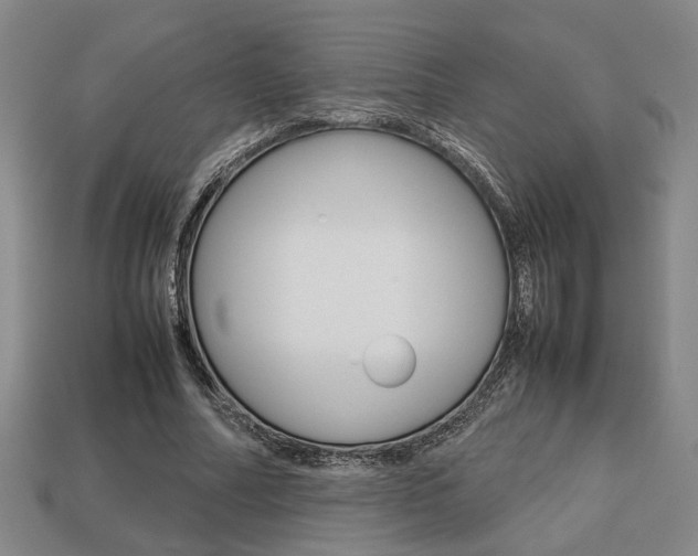 X0000113780682200909231041