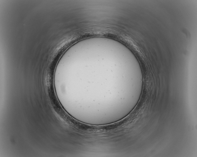 X0000113780683200909231041