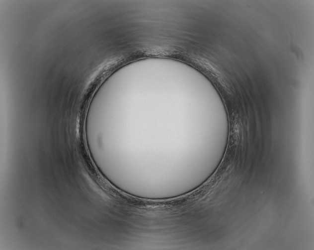 X0000113780686200909231041