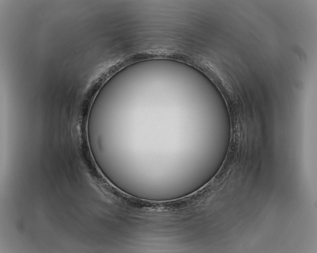 X0000113780688200909231041