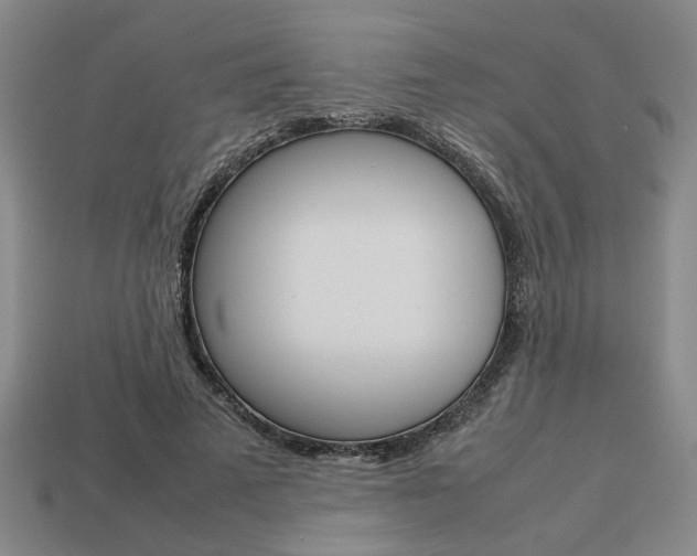 X0000113780689200909231041