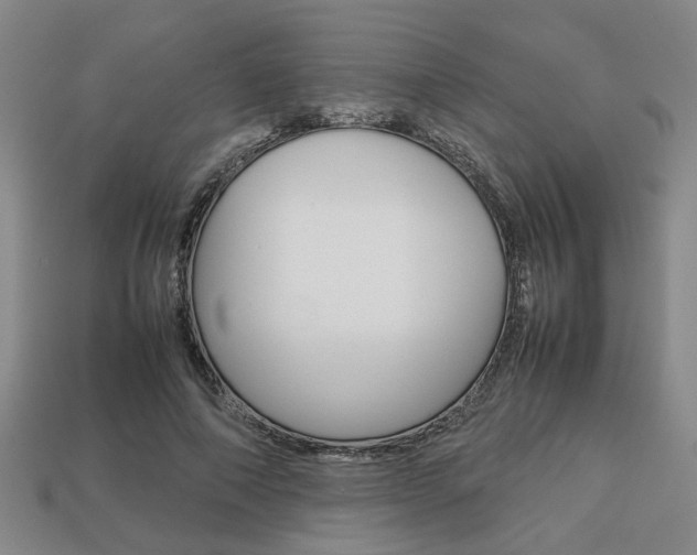 X0000113780690200909231041