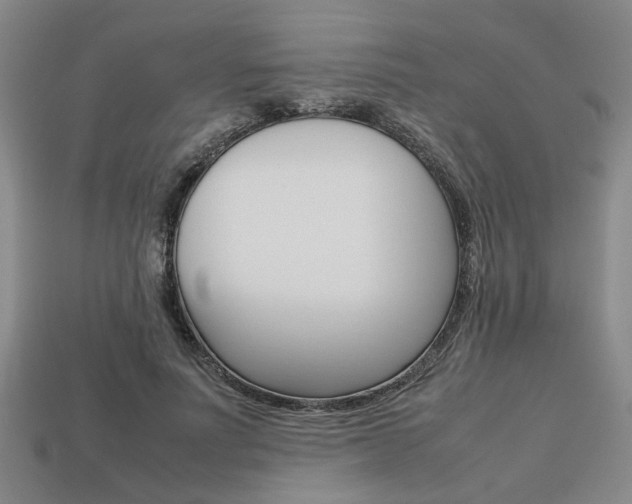 X0000113780691200909231041