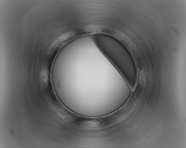 X0000113780692200909231041