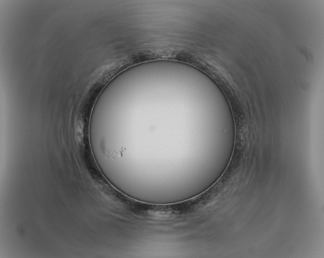 X0000113780693200909231041