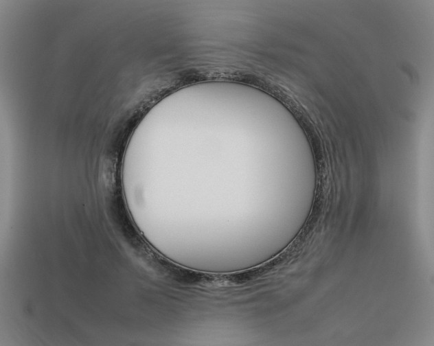 X0000113780695200909231041