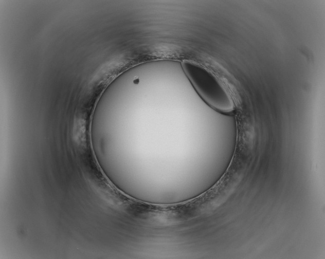 X0000113780696200909231041
