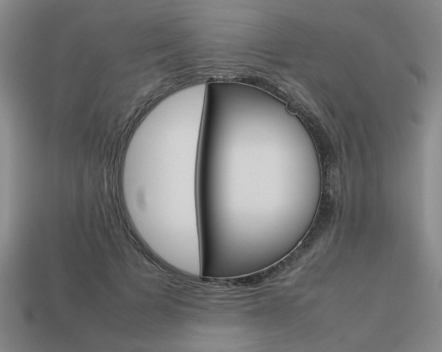 X0000113780697200909231041