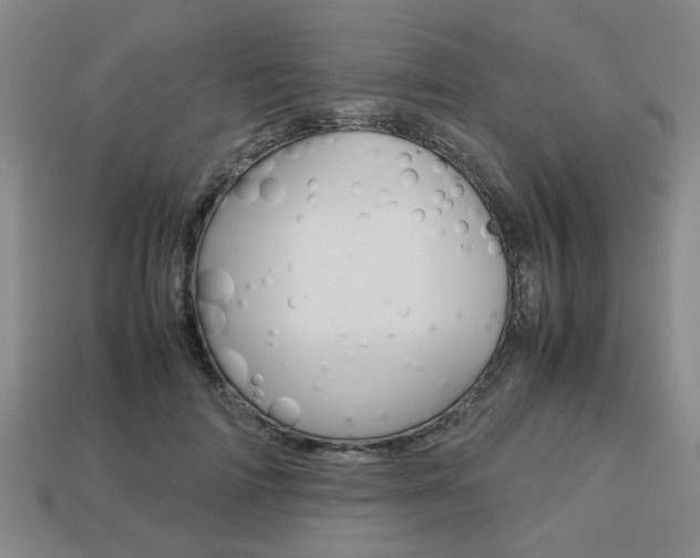X0000113780698200909231041