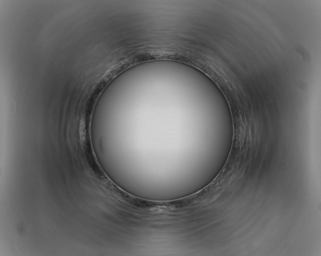 X0000113780700200909231041