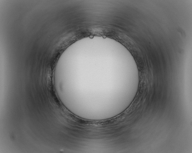 X0000113780702200909231041