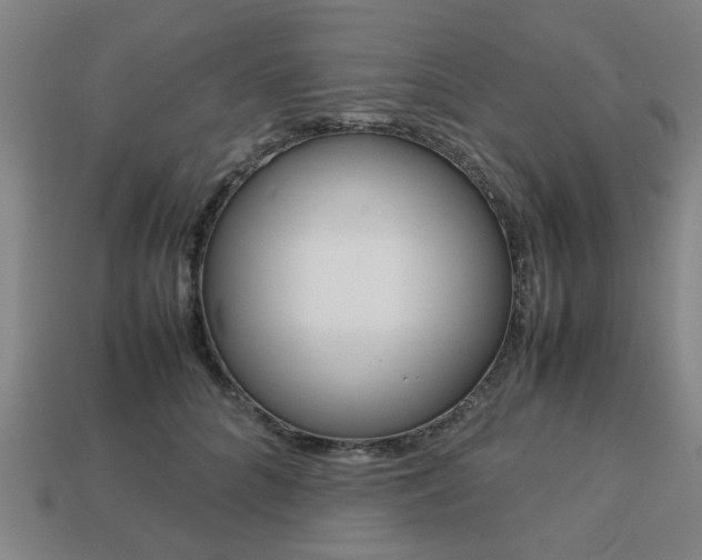 X0000113780704200909231041
