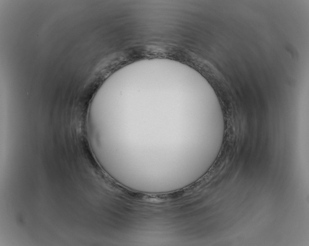 X0000113780706200909231041
