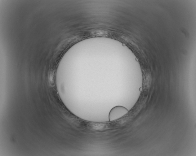 X0000113780709200909231041