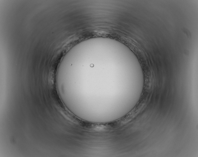 X0000113780710200909231041
