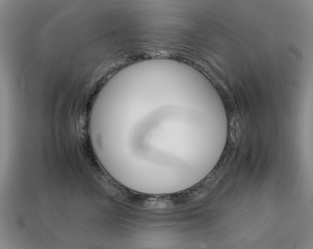 X0000113780714200909231041