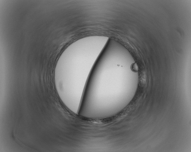 X0000113780715200909231041