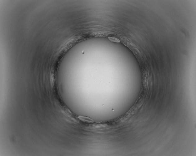 X0000113780716200909231041