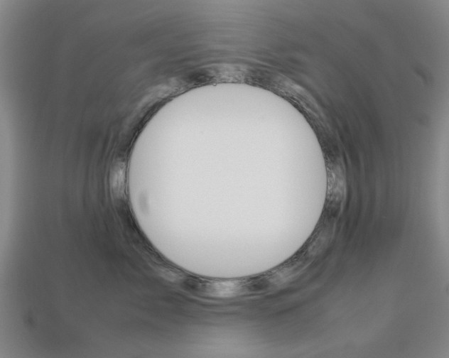 X0000113780717200909231041