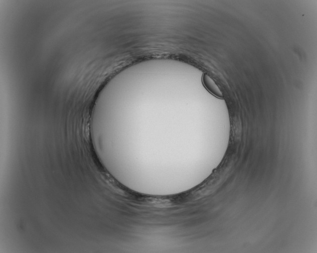X0000113780719200909231041