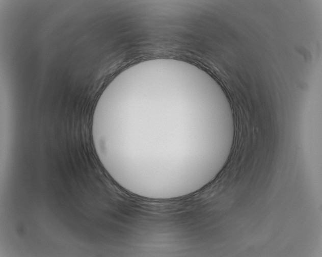 X0000113780720200909231041