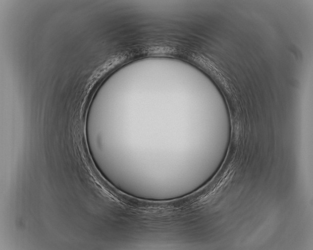 X0000113780721200909231040