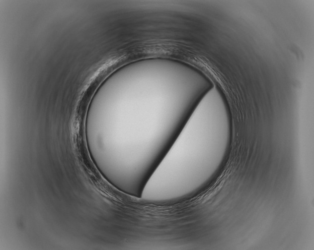 X0000113780723200909231040