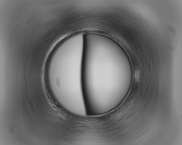 X0000113780724200909231040