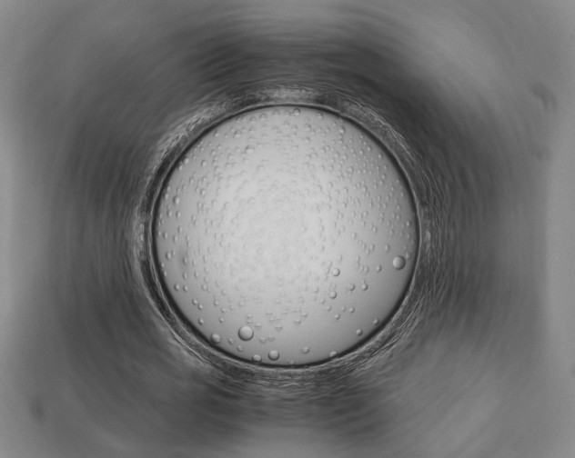 X0000113780725200909231040