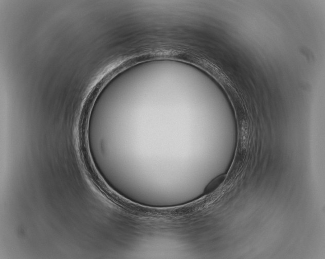 X0000113780726200909231040