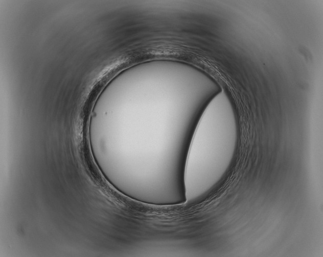 X0000113780727200909231040
