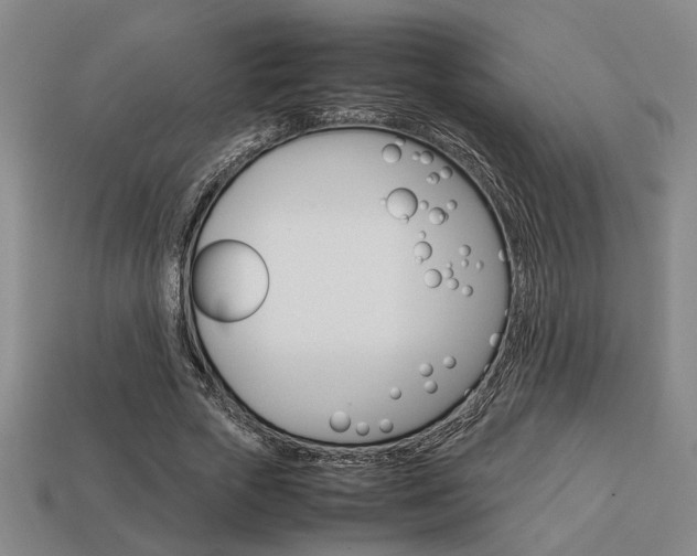 X0000113780729200909231040