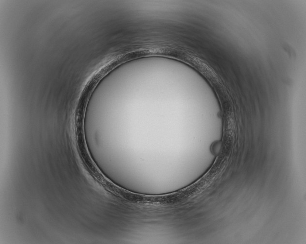 X0000113780730200909231040