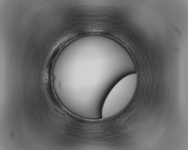 X0000113780731200909231040
