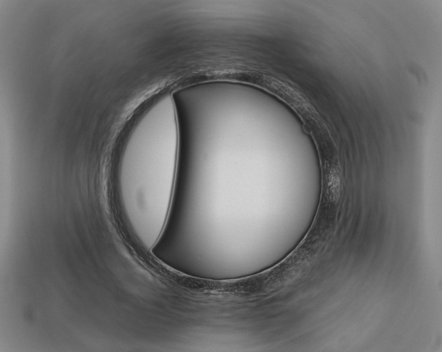 X0000113780732200909231040
