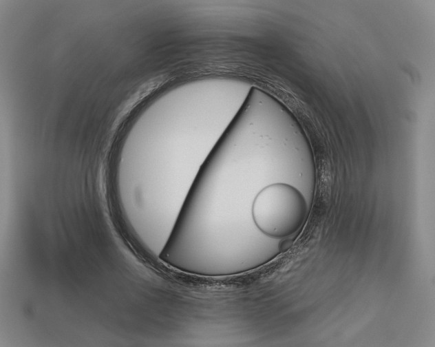 X0000113780734200909231040