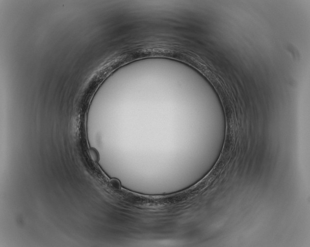 X0000113780735200909231040