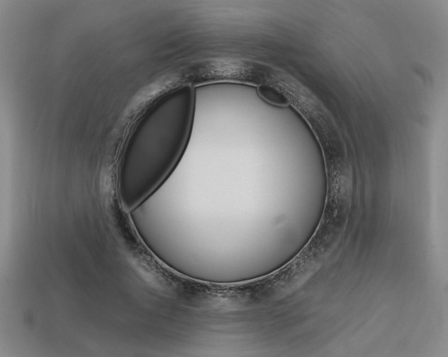 X0000113780736200909231040