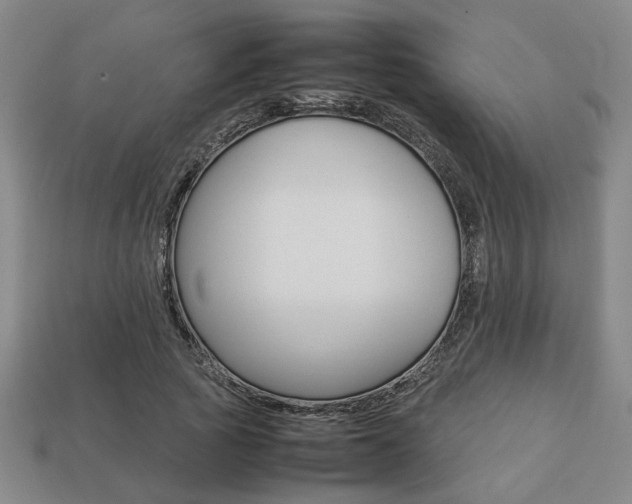 X0000113780737200909231040