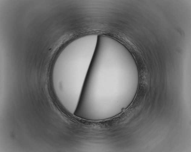 X0000113780738200909231040