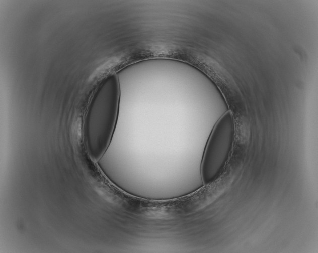 X0000113780740200909231040