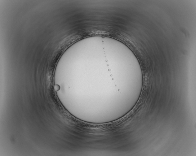 X0000113780741200909231040