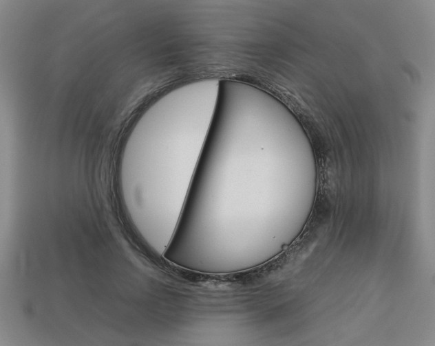 X0000113780742200909231040