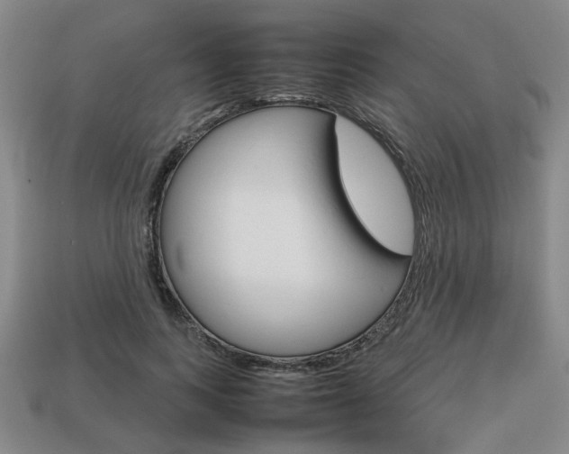 X0000113780743200909231040
