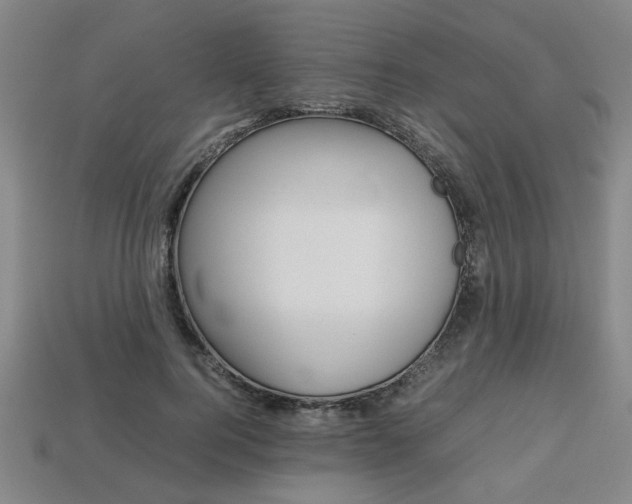 X0000113780744200909231040