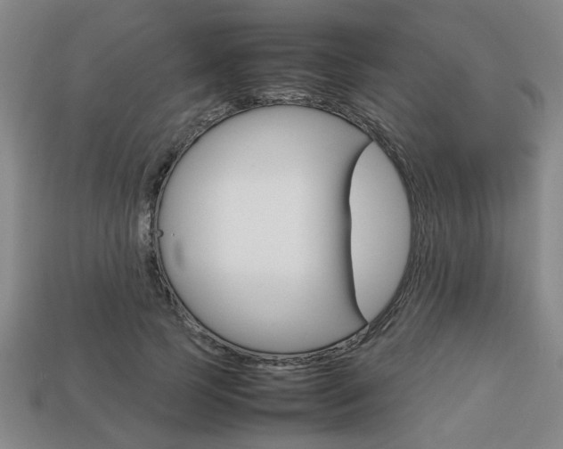 X0000113780745200909231040