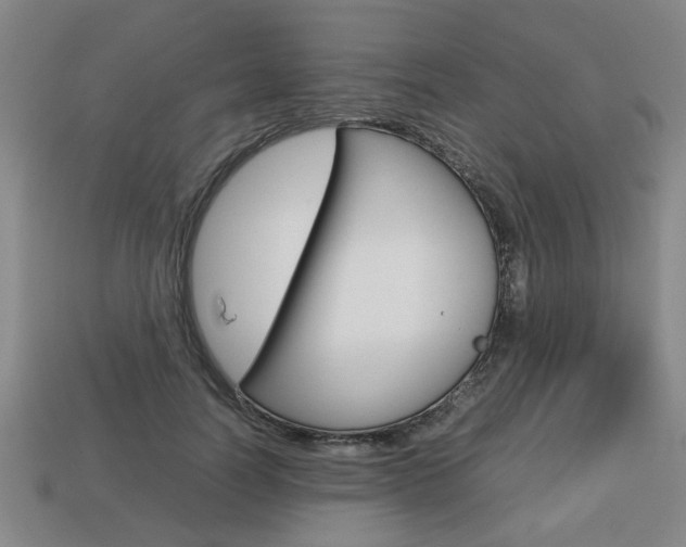 X0000113780746200909231040