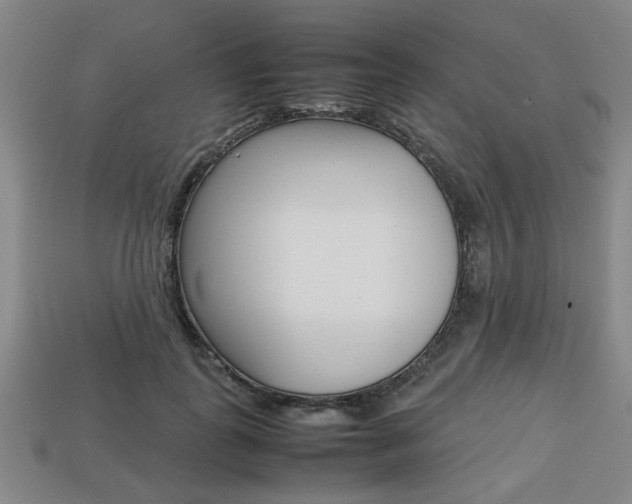 X0000113780747200909231040