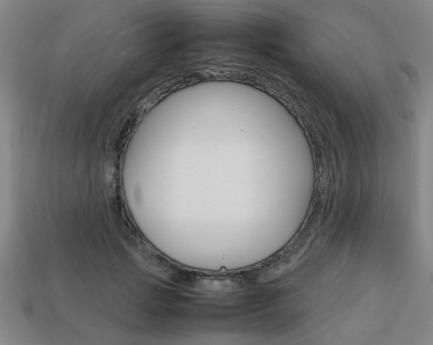 X0000113780749200909231040